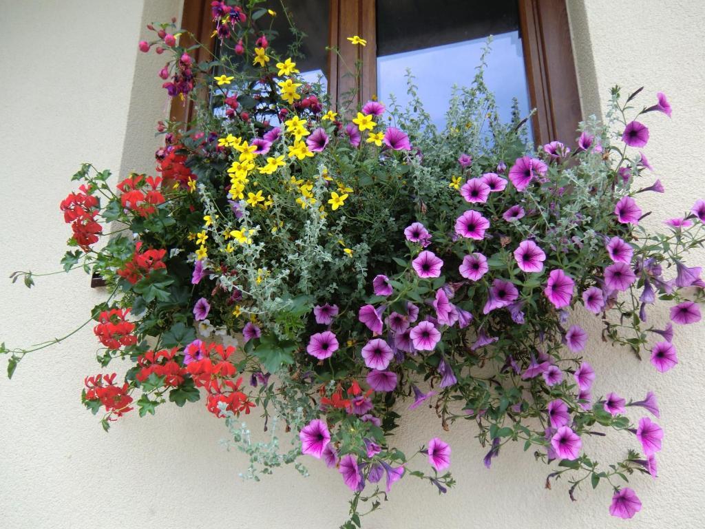 Haus Rye B&B Обертраун Стая снимка
